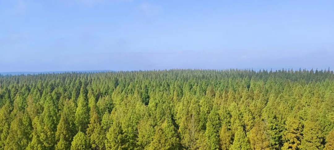 1733189837855893.jpg 640 (6).jpg