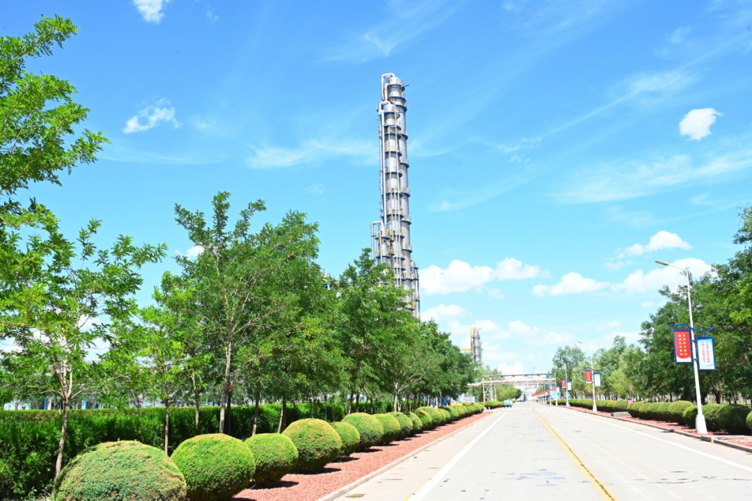 1735787138683301.jpg 640.jpg